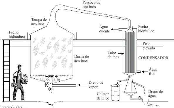 Figura 1 – Esquema de um conjunto destilador para óleos essenciais a arraste a vapor. Figure 1 – Diagram of a distiller conjunct for extraction of essential oils steam drag.