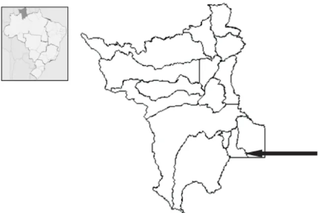 Figura 1 – Localização da área de estudo no estado de Roraima.