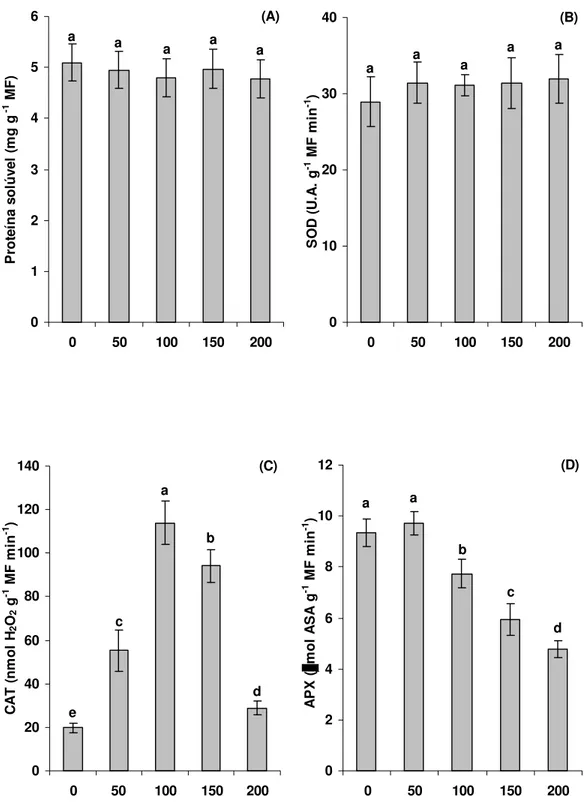 Figura 6 (A) Conteúdo de proteína solúvel e atividade das enzimas oxidativas (B)  dismutases de superóxido, (C) catalases e (D) peroxidases de ascorbato em folhas  de plântulas de cajueiro cultivadas na ausência (controla) ou submetidas a  concentrações cr