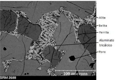 Figura 1.3: Micrografia na escala de 100 m´ıcrons de uma sec¸˜ao plana de uma amostra de cl´ınquer