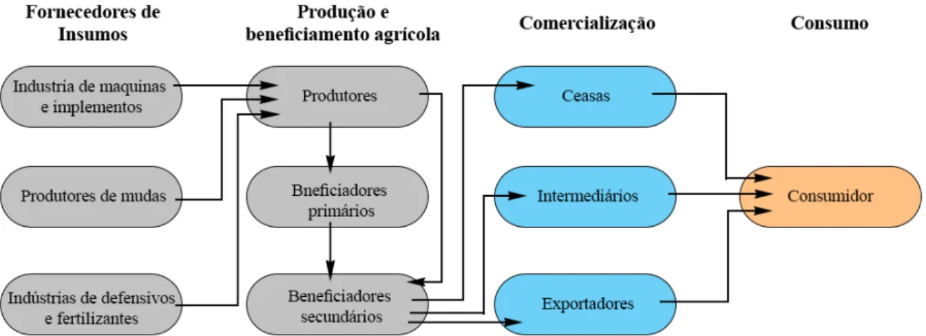 Figura 1 - Estrutura da cadeia produtiva de frutas 
