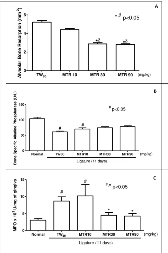 Figure  1.  Effects  of  Matricaria  recutita  (MTR)  on  alveolar  bone  resorption  in  rats  (A),  Serum  levels  of  bone- bone-specific alkaline phosphatase (BALP) (B) and on the MPO activity (C)
