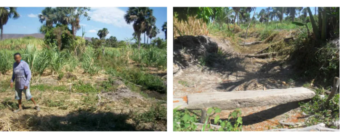 Figura 2.  Foto 2A: Dona de terreno; Foto 2B: Riacho seco