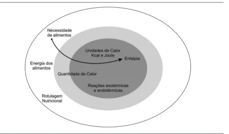 Figura 4.  Estrutura conceitual da unidade didática 3 “Necessidade de alimentos”