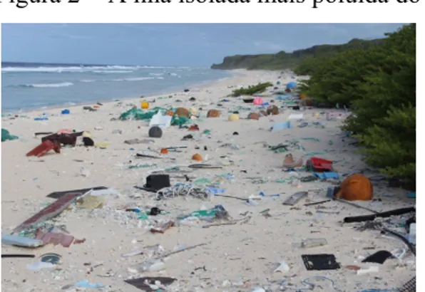 Figura 2 -  A ilha isolada mais poluída do mundo 