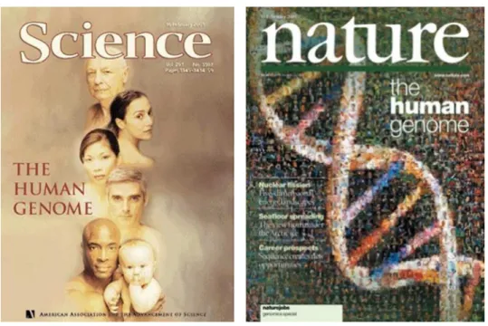 Figura 3. Capas dos periódicos Nature e Science, respectivamente de 15 e de 16 de fevereiro de 2001 2 .