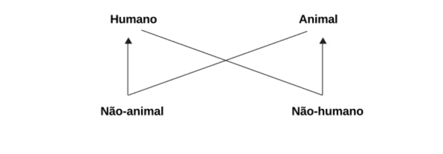 Figura 3. Quadrado semiótico representando a oposição semântica humano-animal
