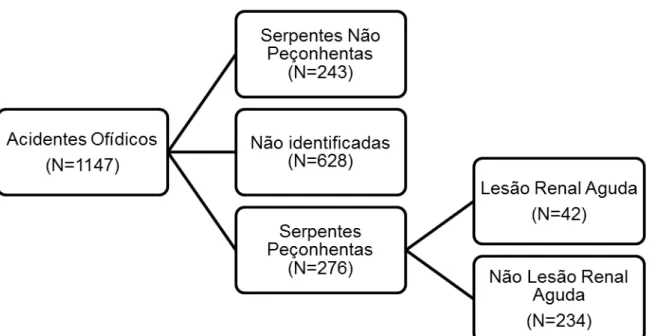 Figura 2 -  Distribuição dos pacientes vítimas de acidentes ofídicos, segundo  o  desenvolvimento  de  lesão  renal  aguda  (LRA),  atendidos  em  hospital terciário de Fortaleza, Ceará, Brasil, 2003-2012