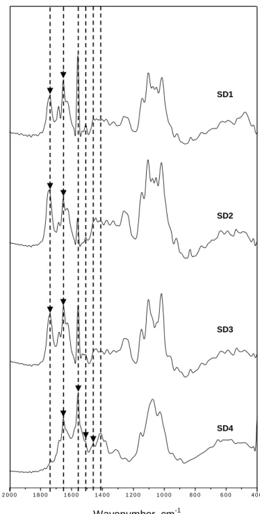 Figure 5 - FTIR of encapsulated mangiferin samples with different polymer  coatings. 2 0 0 01 8 0 01 6 0 01 4 0 01 2 0 0 1 0 0 0 8 0 0 6 0 0 4 0 0SD1 SD2 SD3 SD4 Absorbance  Wavenumber, cm-1  