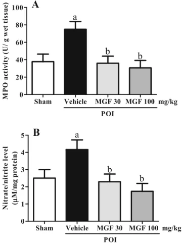 Fig. 4 Effect of mangiferin (MGF) on serum TNF-α (a), IL-1β (b), IL-6 (c), and MCP-1 (d) in mice on POI
