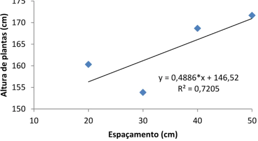 Figura 3  –  Altura de plantas de chia em função dos espaçamentos entre linhas e submetidas ao  tratamento com e sem triacontanol 