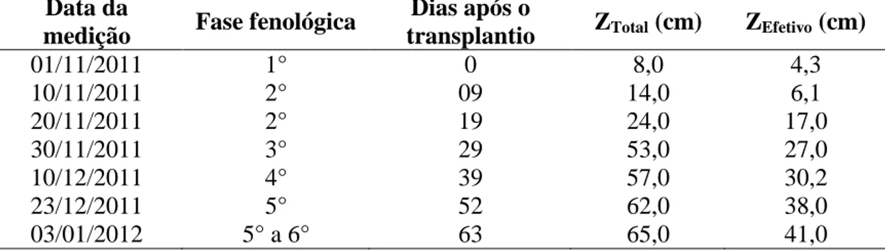 Tabela  5.  Profundidade  do  sistema  radicular  da  melancia  irrigada  ao  longo  do  ciclo  fenológico 