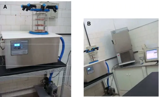 Figura 2 – A, liofilizador de bancada. B, liofilizador, ultra freezer e o computador conectado  ao liofilizador