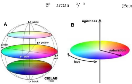 Figura 3 – A, Espaço de cor CIELab. B, Coordenadas cilíndricas do sistema CIELab.   