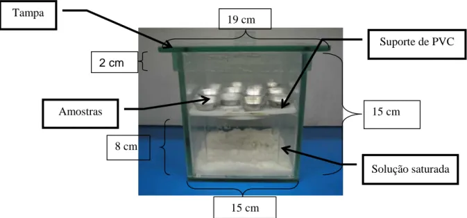 Figura 4 – Representação esquemática de uma célula utilizada para estabelecer o equilíbrio  higroscópico dos pós de mamão liofilizado