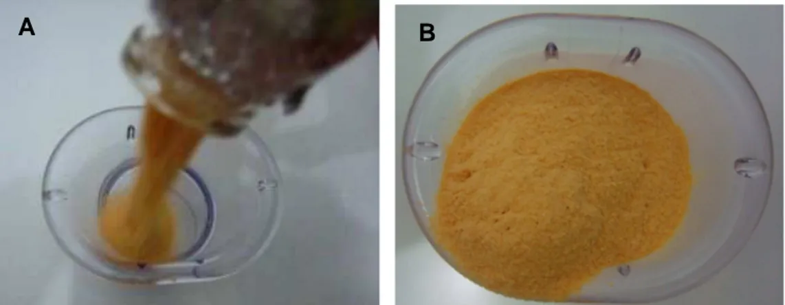 Figura 7 – A e B, Mamão liofilizado em pó após 5 meses acondicionados em frascos de vidro  tipo penicilina
