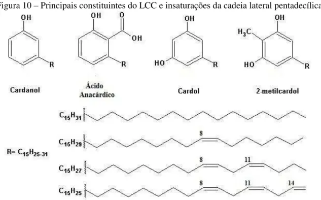 Figura 10  –  Principais constituintes do LCC e insaturações da cadeia lateral pentadecílica