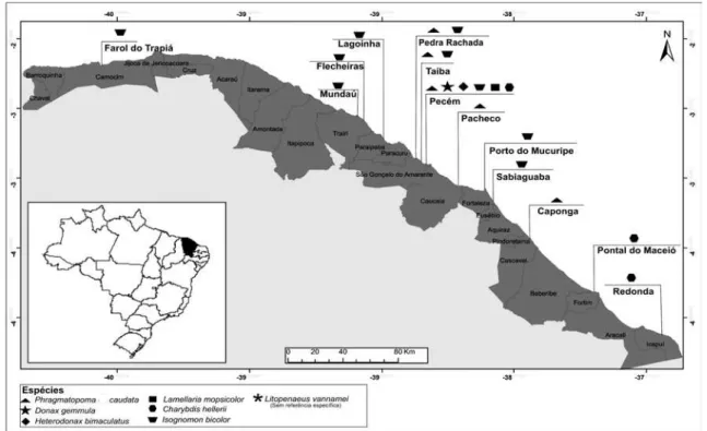 Figura 1). Dentre as espécies de moluscos bivalves,  Heterodonax bimaculatus Linnaeus, 1758 é registrada  pela primeira vez para o estado do Ceará, coletados  na faixa entre marés, na praia do Pecém, município  de São Gonçalo do Amarante, estando o materia