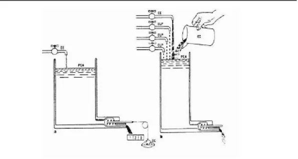 Figura 1. a  Modelo “psico-hidráulico” original elaborado por Lorenz (1950);  b  Modelo “psico- “psico-hidráulico” modificado em 1981 (LORENZ, 1995).
