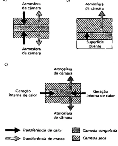Figura 3- Transmissão de calor na liofilização: a) pela camada seca; b) pela camada congelada; c)  geração interna do calor por microondas  