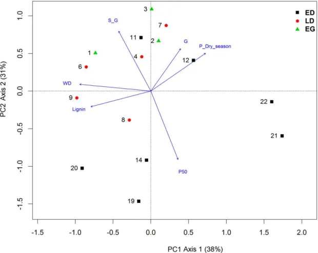 Figura  4.  Análise  de  componentes  principais  para  15  espécies,  com  lignina,  S/G,  guaiacil  (G),  densidade  da  madeira  (WD),  potencial  hídrico  na  estação  seca  ( Ψ  dry  season )  e  potencial  com  perda  de  50%  da  condutividade  ( Ψ 