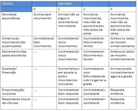 Tabela 2  –  Escala utilizada para a avaliação neurológica . 