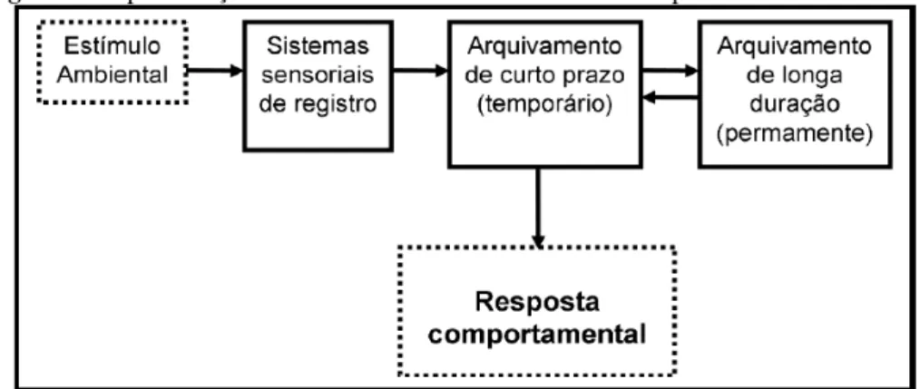 Figura 2: Representação do modelo de memória desenvolvido por Atkinson e Shiffrin. 