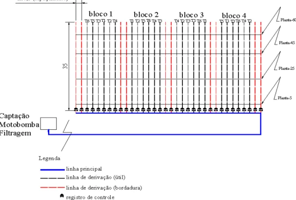 Figura  8 – Disposição  dos  tratamentos  na  área  experimental  para  o  experimento  com  frequências  de  fertirrigação com fósforo, sítio Paraguai, Cruz, Ceará, 2010