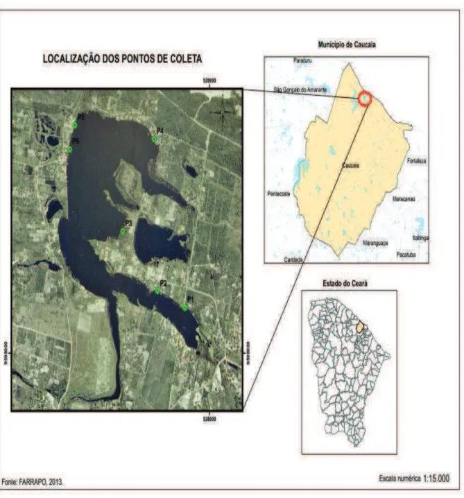 Figura 1- Mapa da localização e indicação dos pontos amostrais para coleta de água na Lagoa  do Banana 