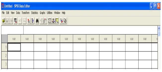 Figura 02 - Pantalla del editor de datos del SPSS 