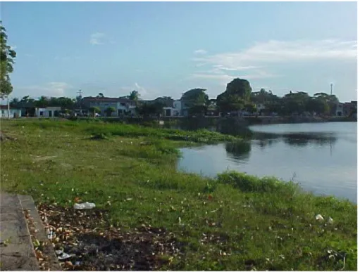 FOTO 4: Acúmulo de lixo nas margens da Lagoa Opaia (2005). 