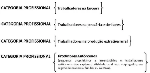 Figura 02 - Diagrama da Portaria 355-A, de 1962, com a composição da Confederação Nacional dos Trabalhadores  na Agricultura segundo as categorias profissionais