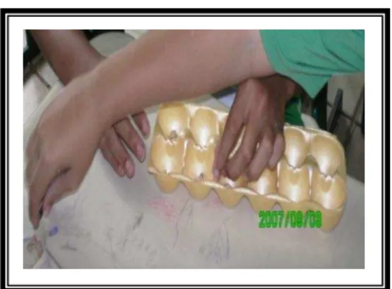 Fig. 23  –  Tabuleiro improvisado em caixa de ovos com sementes de feijão. 