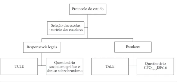 Figura 1. Protocolo do estudo.