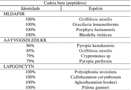 Tabela 3 - Análise da identidade dos peptídeos sequenciados da cadeia beta com proteínas conhecidas utilizando  a ferramenta BLAST