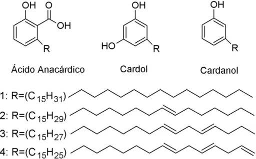 Figura 3 - Estrutura molecular do ácido anacárdico, cardol e cardanol e seus diferentes radicais