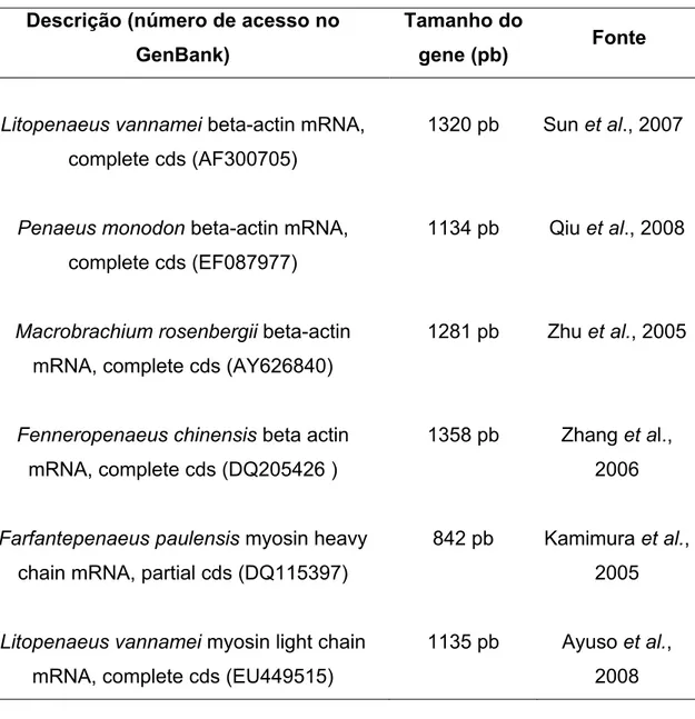 Tabela 1 – Informações sobre os genes de beta-actina e miosinas de camarões  peneídeos depositados no GenBank