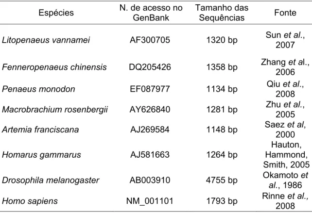 Tabela 3 – Espécies utilizadas para desenhar os primers de beta-actina. 