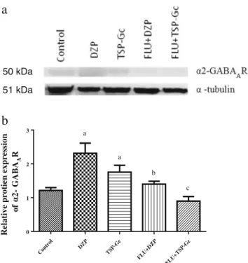 Fig. 5 Western blotting analysis of α2-GABA A R in the HC of mice. a Representative Western blotting showing tissue expression of GABA A R α2 subunit and α-tubulin loading control in the HC of mice that received saline vehicle (control), DZP (1 mg kg −1 ),