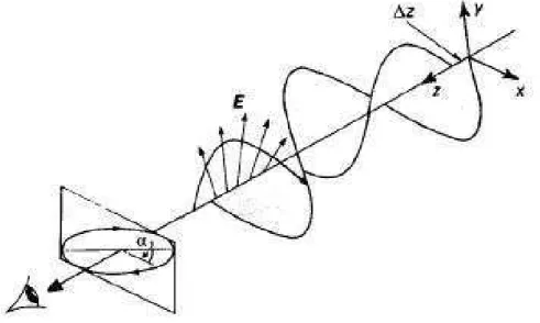 Figura 6: Os dois componentes de uma onda polarizada elipticamente `a direita.