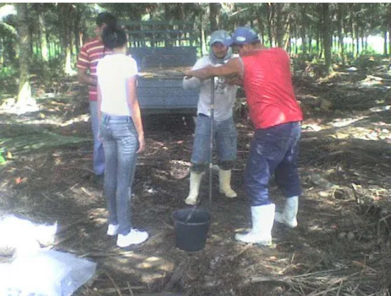 Figura 6 - Tradagem de solo no Distrito Irrigado Baixo Acaraú 
