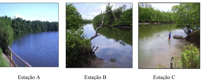 Figura 10 - Visão das três estações de coleta localizadas no Estuário do Rio Jaguaribe 