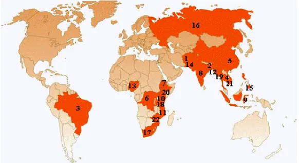 Figura 1. Mapa com os 22 países que são responsáveis por 80% dos casos de tuberculose  no mundo