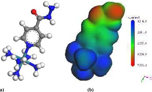 Figura  118.  (a)  Estrutura  otimizada  do  complexo  pentaamin(isoniazida)rutenado  (II)                 (b)  Densidade  eletrônica  molecular  total  com  gradiente  de  potencial  eletrostático  do 