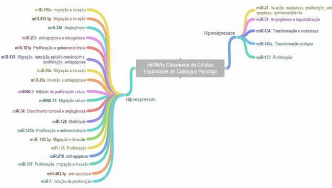 Figura  4  -  Resumo  dos  miRNAs  descritos  na  literatura  avaliados  no  Carcinoma  de  Células  Escamosas de Cabeça e Pescoço e suas funções no câncer 