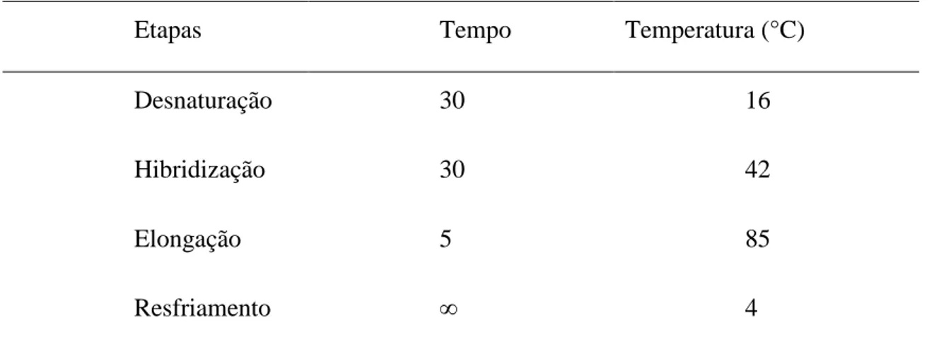 Tabela 1- Componentes do Master Mix para reação de Transcriptase Reversa  Componentes do Master Mix  Quantidade (15 µl reação)