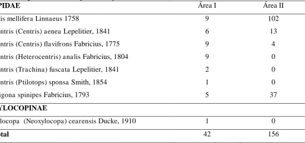 Tabela 1- Espécies de abelhas visitantes florais da acerola (Malpighia emarginata D.C.) em dois núcleos  de cultivo orgânico, no município de Ubajara  –  CE, em 2010