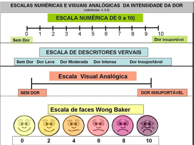 Figura 8 - Escalas numéricas e visuais Analogicas da intensidade da dor. 