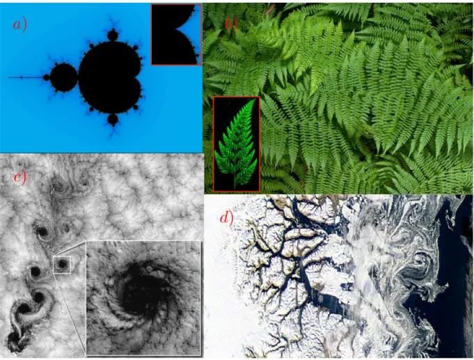 Figure 1: The Fig. a shows the Mandelbrot set with a zoom in a part of it. In Fig. b , an image of a fern made available by the National Geographic, with a simulation of a fern leaf