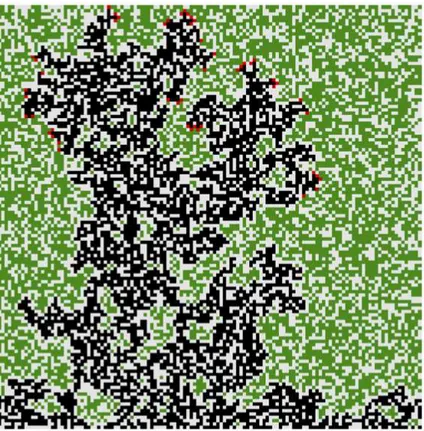 Figure 5: The forest fire model for a lattice of size side L = 1024 at p ∼ = p c . The trees are represented in green, the burning trees in red and the burned trees in black [18].